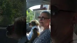 эксплуатация обезьяны🤭😉( просто Мотя, просто поехала с мамой🤗🤣)#monkey#животные#petmonkey #обезьяна