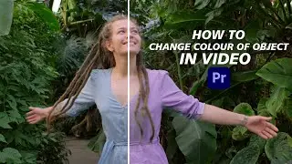 HOW TO CHANGE COLOUR OF OBJECT IN VIDEO IN PREMIERE PRO | 