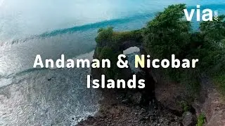 Places to Visit in Andaman & Nicobar Islands