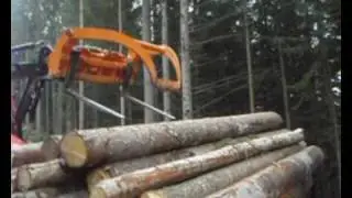 Holzarbeiten