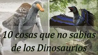 10 cosas que no sabias de los dinosaurios