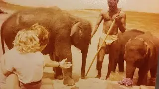 @SafariTVLive  Udawalawa Elephant kids... love♥️♥️