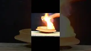 crazy experiment #snake box#matchbox#experiment