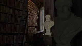 Эстетика обществознания🤌🏻✨ 