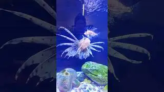 Aquarium Adventure at Becketts Farm