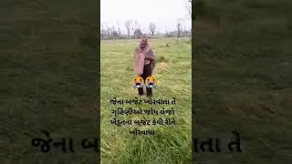 ખેડૂત ની વેદના 😭😭 માવઠાથી ખેડૂતો ને નુકસાન