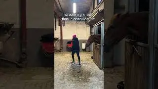 Vu l’odeur, impossible de confondre 🤣 