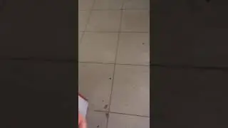 21 мая 2021 г.