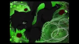 hollyleaf mv 