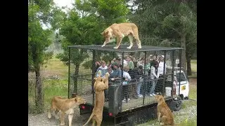 Fun at the Zoo....