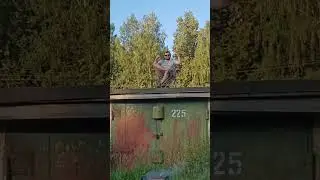 Гараж 54