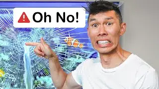 Rescuing My Beloved Fish Tank (AGAIN!)