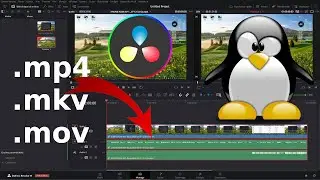 DaVinci Resolve importer du MP4 MKV MOV sous Linux