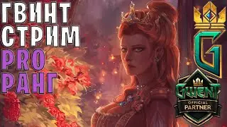 Gwent | Мета-отчёт уже на канале! — Гвинт 12.2