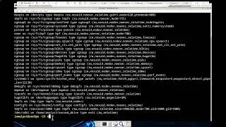 Cisco - CyberOps Associate - 4.5.4 Lab - Navigating the Linux Filesystem and Permission Settings