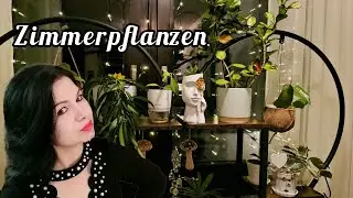 КОМНАТНЫЕ РАСТЕНИЯ.ИЗМЕНЕНИЯ .ХОЙИ #nature #цветы ##top #totalgaming #