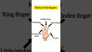 Name of the Fingers#viral_shorts#motivation#dailyenglish#knowledge#bodyparts#shorts#viral#ambani