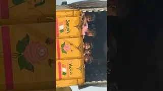 🇮🇳 KIDS WAVING ONE LOVE FOR INDIA 🥰😍🥹 #trending #indian #trendingshorts #kids #viral #save #cute