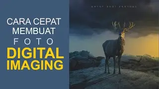 TUTORIAL PHOTOSHOP DIGITAL IMAGING - Preview Layer Part 2