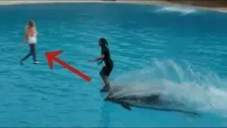 Dilfinlar raqisi tomosha qilig