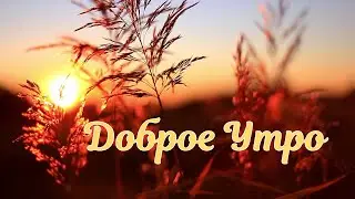 Доброе Утро Воскресенья!☕С Выходным Воскресным Днём!Пожелание Доброго Утра!