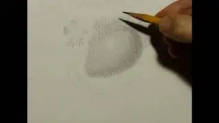 15 а БЕЛОЕ ЯЙЦО  СВЕТО ТЕНЕВОЙ РИСУНОК  2 часть