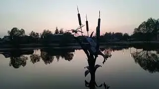 С Мишей на пруду по улице Мира....