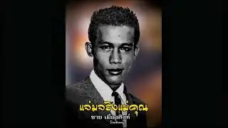 แจ่มจริงแม่คุณ - ชาย เมืองสิงห์