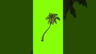 Trees Green Screen 3D 6 