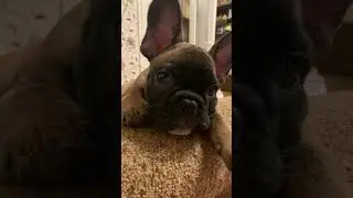 мам, моргни один раз 🥰