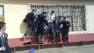 Humanistas 2008