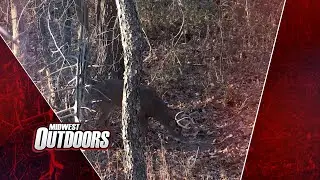 MWO Tip: Wood blend for smoking venison