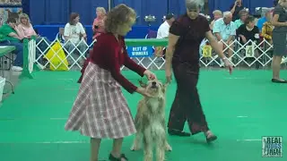 2011 UKC National Top Junior Invitational Final Round - 2012 PREMIER | United Kennel Club