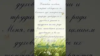 Бхагавад Гита. Как действует человек, свободный от влияния материи.