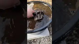 Деталан, ты уж определись