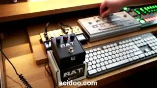 Pro Co Rat 2 Distortion - TT-303