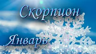 Скорпион Таро прогноз на Январь 2024 года.