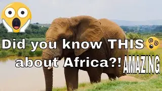 UNKNOWN FACTS about Africa!