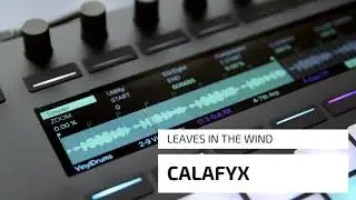 CALAFYX - Leaves in the Wind