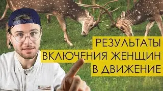 ОТКУДА БЕРУТСЯ ЖЕНЩИНЫ В МУЖСКИХ СООБЩЕСТВАХ: как Михаил Н, Дягилев и Вантала устроили аленьи бои