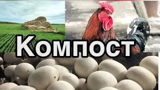 Из чего растут грибы? Где начинаются шампиньоны? Компост для грибов шампиньонов!
