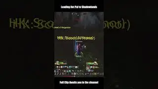 Chased by a Paladin - WoW: Dragonflight Battleground PVP