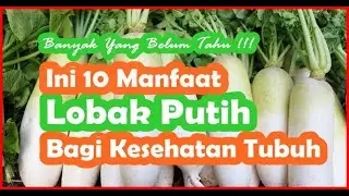 Lobak Putih : Kurang Populer Namun Memiliki Segudang Manfaat Bagi Kesehatan