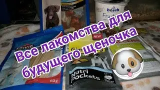 Все лакомства для будущего щеночка