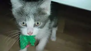 Малыш на свободе