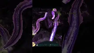 Ark Tips #1