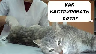 Как 