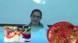 Proposta da Uece, um vídeo sobre protistas fotossintetizantes