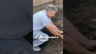 How Important Is The Topsoil In Your Garden?