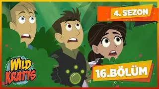 Kratt Kardeşler | 4. Sezon 16. Bölüm | Çizgi Film | minikaGO